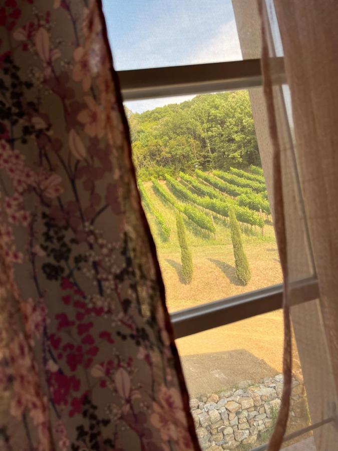 B&B Il Vecchio Molino クエルチアネッラ エクステリア 写真