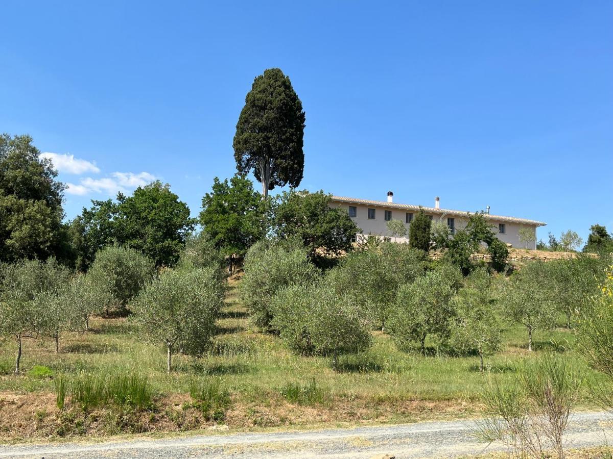 B&B Il Vecchio Molino クエルチアネッラ エクステリア 写真